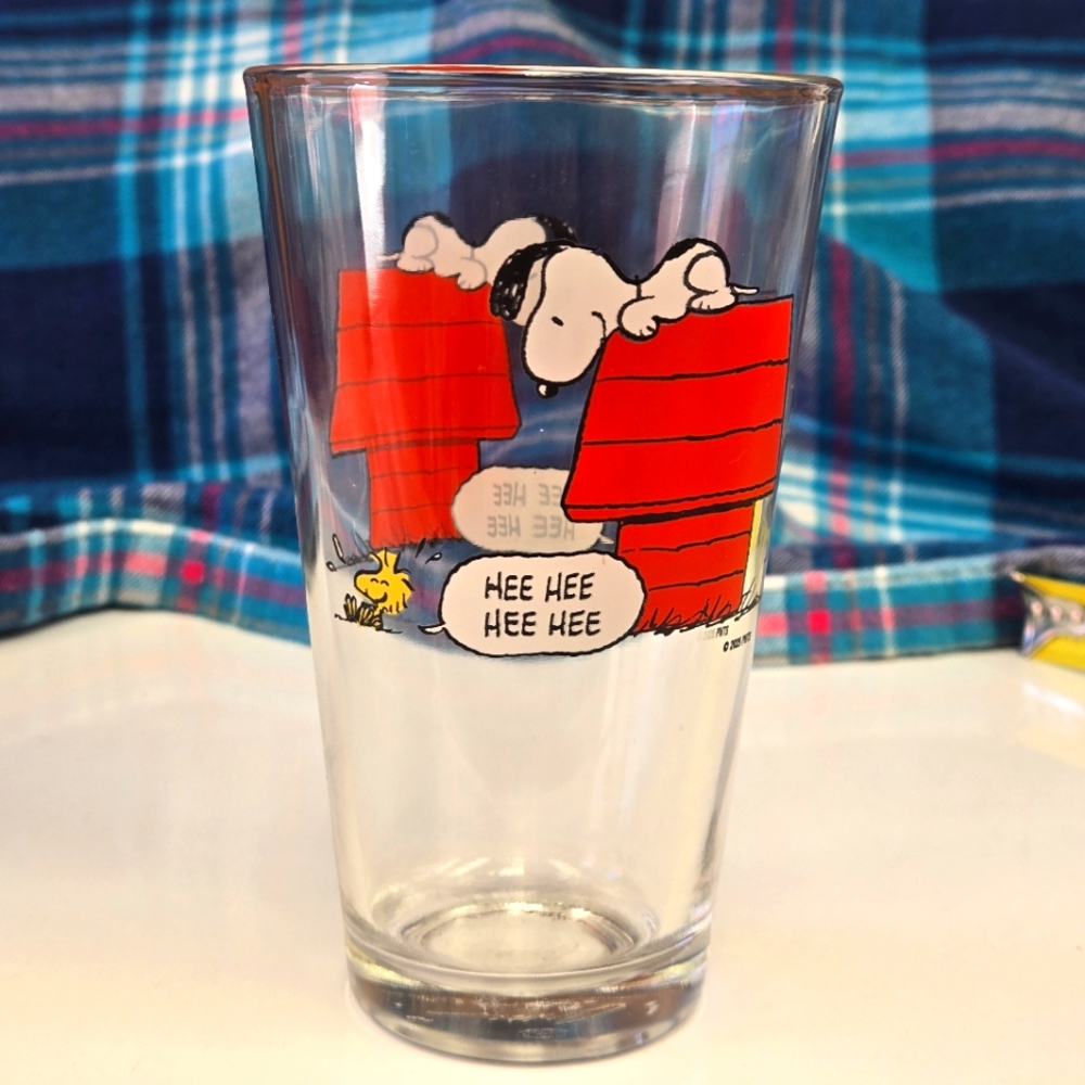 Peanuts: Snoopy & Woodstock on Red Dog House Glass Cup